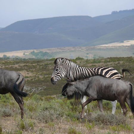 Nyaru Game Lodge Brandwag Екстер'єр фото
